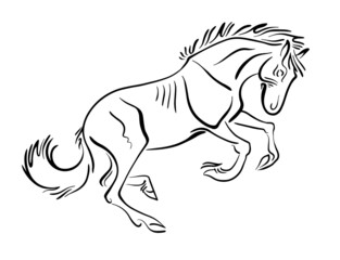 mustang horse illustration logo