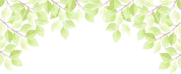 若葉のフレーム1