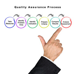 Components of Quality Assurance Process