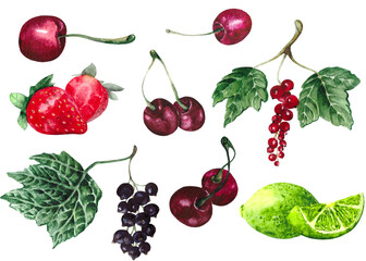 A collection of bright berries: cherries, currants, strawberries and limes, isolated on a white background. Watercolor fruits for food-themed design.