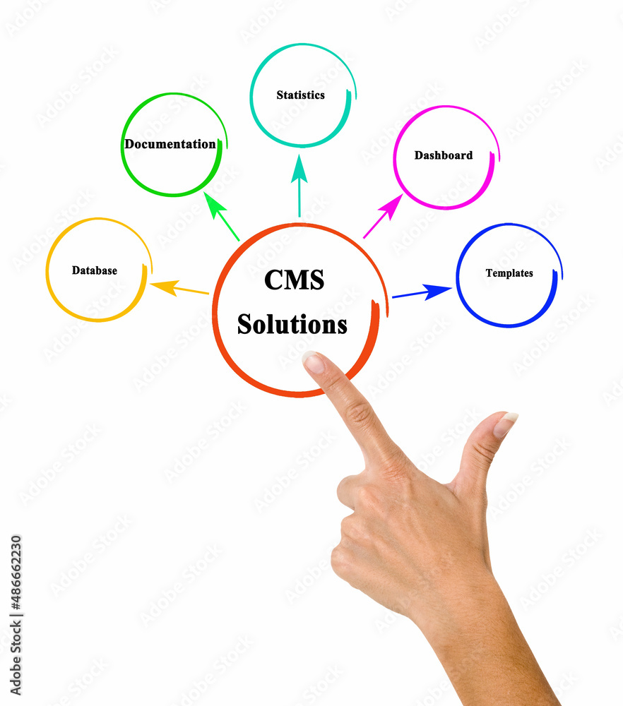 Canvas Prints content management system (CMS) Solutions