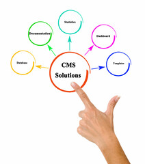 content management system (CMS) Solutions