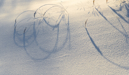 A bizarre pattern from the shadow of spikelets in the snow. Clean snow cover and a pattern of...