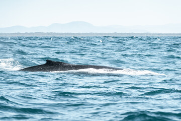 Naklejka premium Ocean water texture on the water 