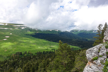 A forest standing by the rocks, overlooking the Alpine meadows. The Lago-Naki plateau in Adygea. Russia. 2021
