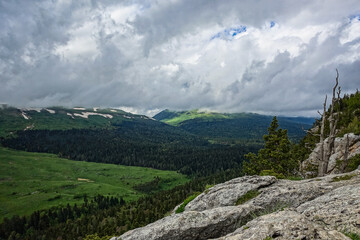 A forest standing by the rocks, overlooking the Alpine meadows. The Lago-Naki plateau in Adygea....