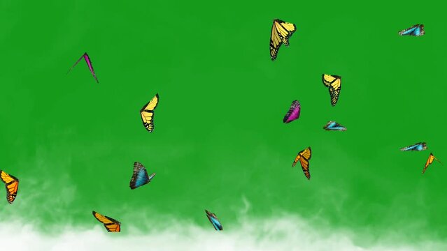 Flying butterflies with smoke on green screen background