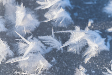 snow feathers on the surface of a frozen river