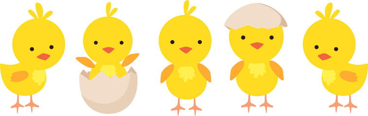 Set of cute baby chickens in different poses for easter design isolated on white background