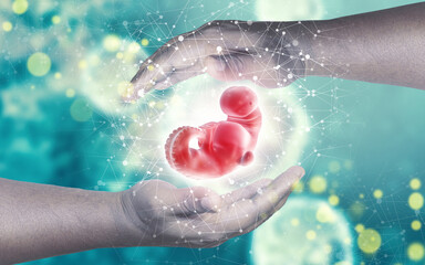 Fototapeta premium The concept of protecting and supporting the human fetus