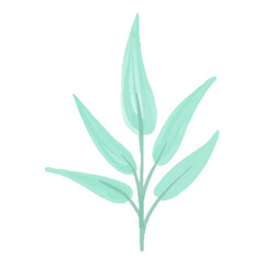 Vector Paint element of hand-drawn watercolor green leaves on a white background. Use for menus, invitations, wedding.