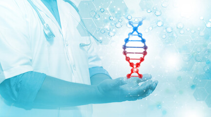 Doctor Hand showing blue helix DNA structure on medical background. DNA molecule research