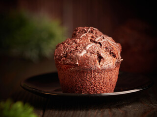 Chocolate cupcake on a dark background