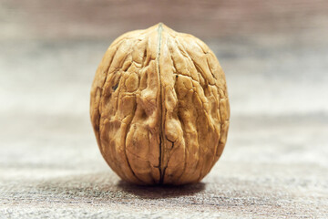 Walnuts. One walnut close up