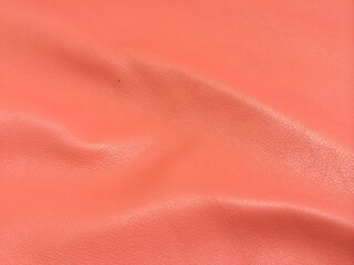 texture leather coral