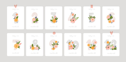 Baby shower milestone cards. Numbers with flowers in pastel color. Capturing print with all the special moments. Baby month anniversary card. Greeting poster for newborn