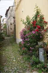 Fototapeta na wymiar borgo Nicola a La Spezia