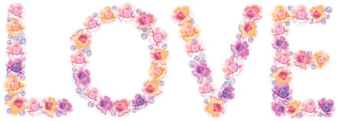 love - botanical rose flowers romantic cute illustration.