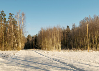 winter landscape with snowy trees, white, snow-covered road, the magic of white winter