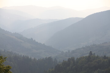 fog in the mountains