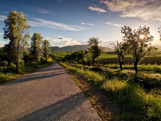 road in the countryside