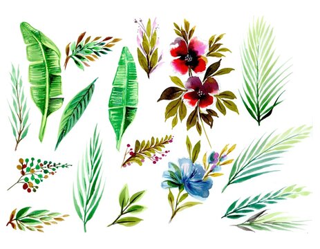 Set with floral elements and leaves watercolor design