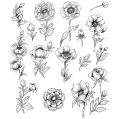 Beautiful sketch floral set design
