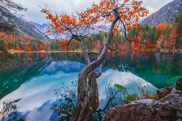 Beautiful Fusine lake in nice autumn colors in the background with the Mangart mountains at sunset, near Slovenia - 486677297