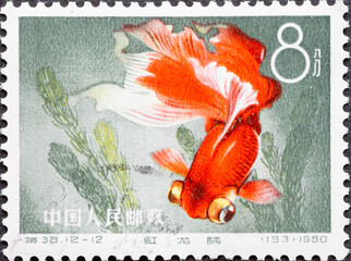 China - circa 1960: a postage stamp from China , showing a colorful fish: Goldfish (Carassius auratus auratus)