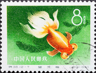 China - circa 1960: a postage stamp from China , showing a colorful fish: Goldfish (Carassius...