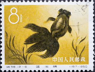 China - circa 1960: a postage stamp from China , showing a colorful fish: Goldfish (Carassius...