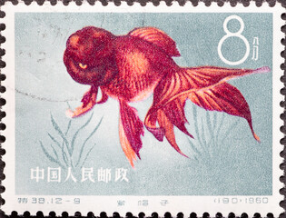 China - circa 1960: a postage stamp from China , showing a colorful fish: Goldfish (Carassius...
