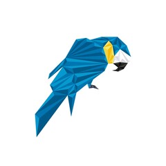 Blue gold macaw in polygonal design style