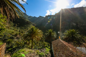 Fototapeta na wymiar Spain Tenerife Village in the Gorge Mask