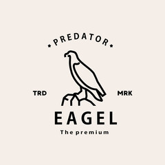 vintage retro hipster eagel logo vector outline monoline art icon