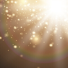 Shiny vector star, golden dust glitter. Bright decorations for the background. Vector illustration.