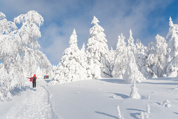 A group of tourists goes on an ascent in winter. Ural mountains. January 2022