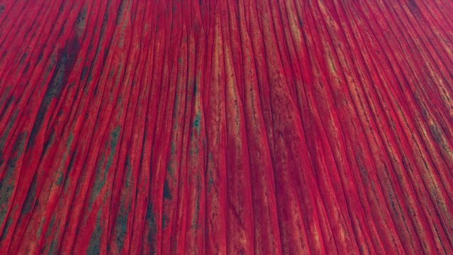 Aerial view of the Simpson Desert is a large area of dry red sandy plain in Australia with an erg that contains the worlds longest parallel sand dunes 4k high resolution quality animation