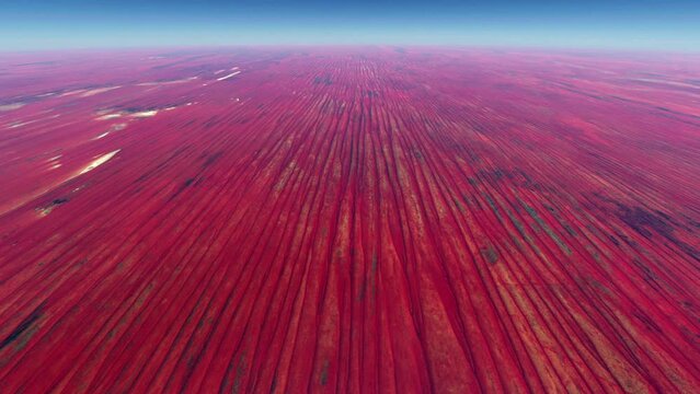 Aerial airplane view of the Simpson Desert is a large area of dry red sandy plain in Australia with an erg that contains the worlds longest parallel sand dunes 4k high resolution quality animation