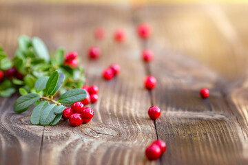 Berries and a branch of lingonberries are lying on a wooden table