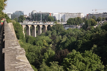 Bridge Forest View nature Architecture