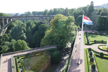 Bridge Forest View nature Architecture