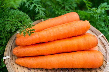 A pot of fresh organic vegetables carrots