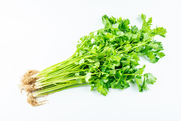 Handful of fresh organic vegetable celery on white background