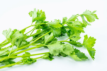 One fresh organic vegetable celery on a white background