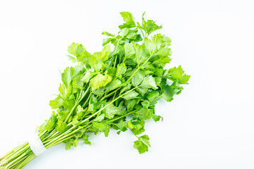 Handful of fresh organic vegetable celery on white background