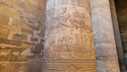 Temple of Khnum. The temple of Esna, dedicated to the god Khnum. Egypt.