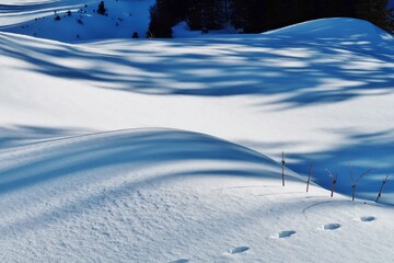 Obraz premium Schneelandschaft mit Licht und Schatten