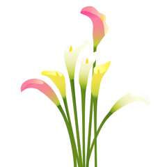 清楚なカラーの花のイラスト