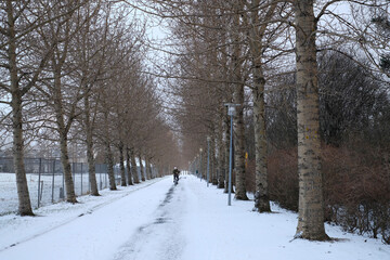 Radfahrer im Botanischen Garten von Reykjavik